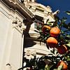 Sinaasappelboom in Valencia van Jan Radstake