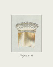 "Peigne d'or" Vintage haarkam met diamanten - fashion, vintage print