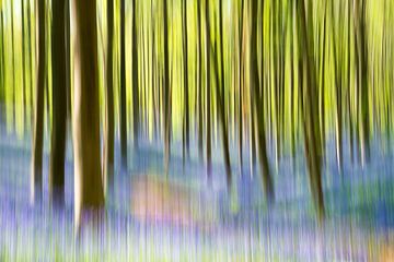 hallerbos creative von Carol Thoelen