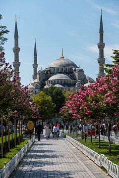 Blue Mosque Istanbul by Luis Emilio Villegas Amador