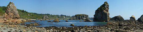 Harris Beach State Park Oregon