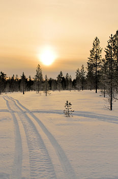 Winterzon