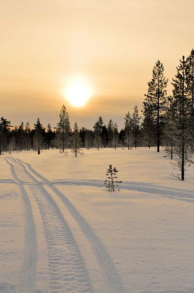 Winterzon von Ruud Langendijk