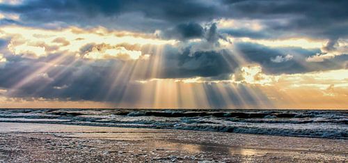 Rays of Light by Alex Hiemstra