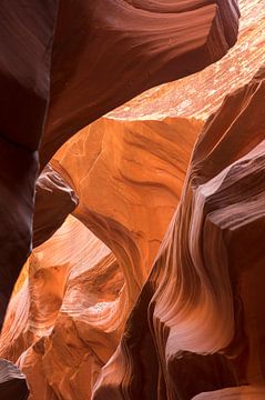 Antelope Upper Canyon 4 - Arizona  - USA van Danny Budts