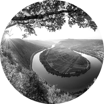Moezelbocht bij Bremm. Panorama in zwart-wit. van Manfred Voss, Schwarz-weiss Fotografie