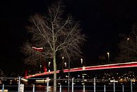 Steel Serenity: Seitliche Perspektive auf die Willems-Brücke