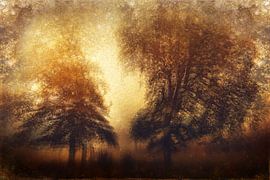 Ohne Titel von Gustav Davidsson