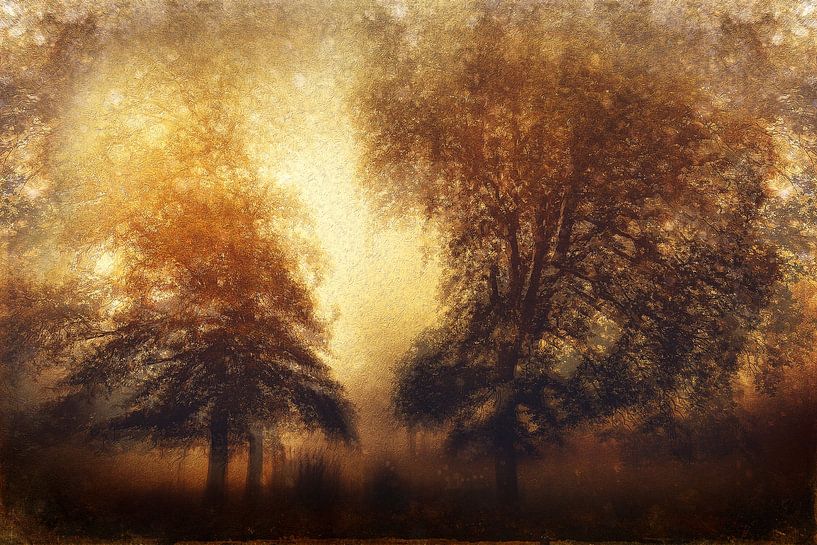 Untitled by Gustav Davidsson