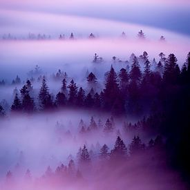 Purple Fog Above Hill by Sam Mannaerts