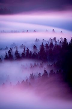 Purple Fog Above Hill