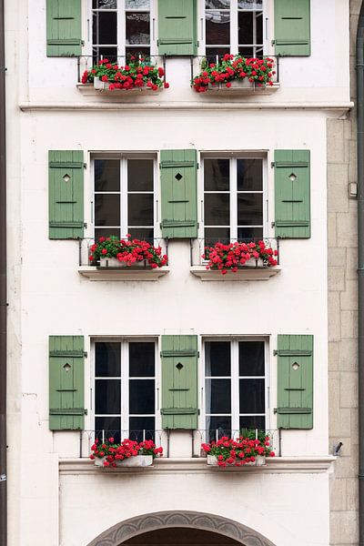 Traditionelle weiße Villa mit grünen Fensterläden und Blumenkästen von Tony Vingerhoets