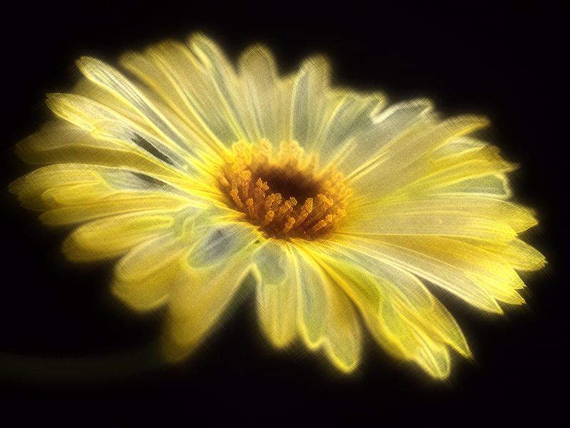 Boeket bloemen 3 van Edgar Schermaul