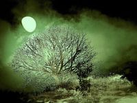 Mystische Mondnacht