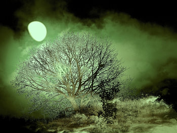 Mystische Mondnacht