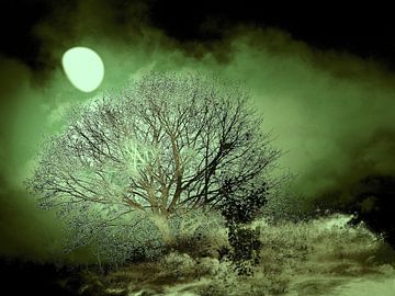 Mystische Mondnacht