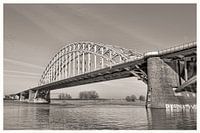 Waalbrug