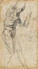 Michelangelo Buonarroti, Studie eines männlichen Aktes, 1504 von Teylers Museum