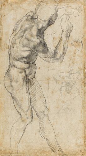 Michelangelo Buonarroti, Étude d'un nu masculin, 1504 sur Teylers Museum