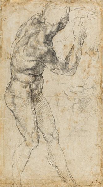 Michelangelo Buonarroti, Studie van een mannelijk naakt, 1504 van Teylers Museum