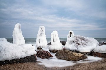 Groynes on shore of the Baltic Sea in winter time van Rico Ködder