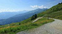 Alpine Szenerie