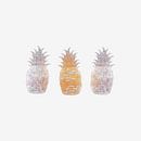 Pineapple. Ananas. van Mr and Mrs Quirynen thumbnail