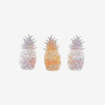 Pineapple. Ananas. van Mr and Mrs Quirynen
