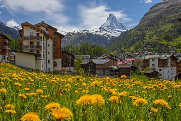 Lente in Zermatt van Arthur Puls Photography