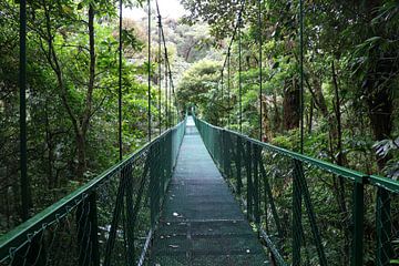 Foto van een hangbrug in Costa Rica van Linda Vreeswijk