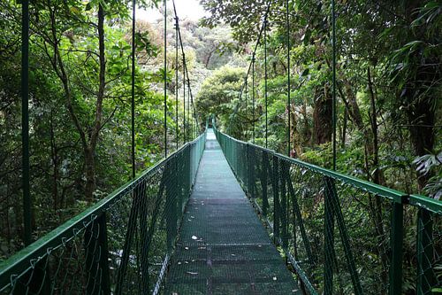 Photo d'un pont suspendu au Costa Rica