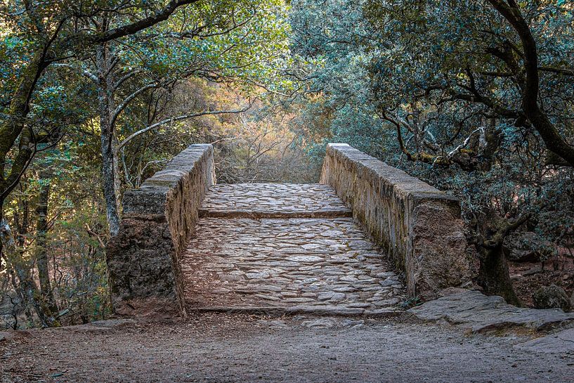 Steinbrücke von Thomas Heitz
