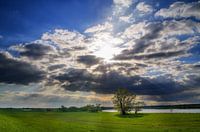 April sun