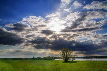 soleil d'avril sur georgfotoart