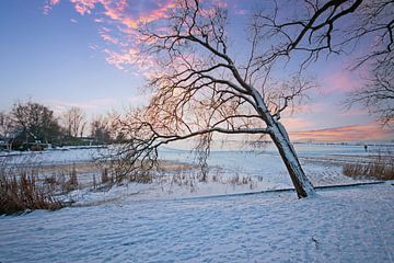 Besneeuwd nederlands landschap in de winter in Nederland bij zonsondergang van Eye on You