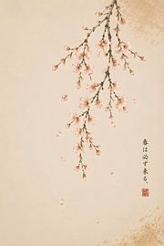 Hanging Sakura Branch by Gentle Hours