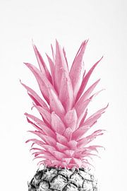 Pinapple Pink 03 by Pictufy Studio III