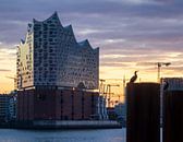 Elbphilharmonie Hamburg van Nils Steiner thumbnail