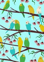 Parakeets in a Gum Tree