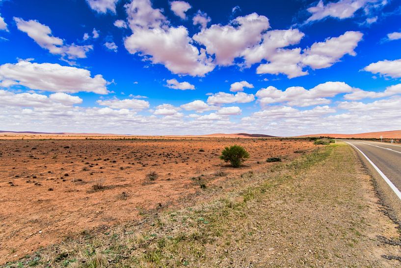 Desert by Frank Dotulong