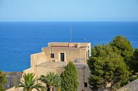 Enkele kasteelgebouwen achter groene palmbomen van Castillo de Santa Bárbara in Alicante onder een b