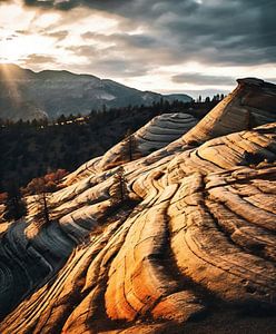 Herbst im Yosemite Nationalpark