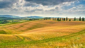 Bild der Landschaft in der Toskana