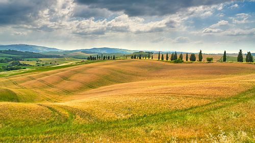 Bild der Landschaft in der Toskana