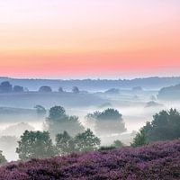 Parc national Veluwezoom