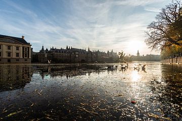 Den Haag Binnenhof von Brian Morgan