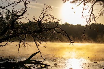 Sonnenaufgang von Jack Van de Vin