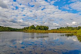 asperman pond by wilbert ottenheijm