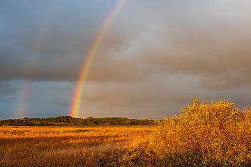 Landscape on the island Moen in Denmark by Rico Ködder