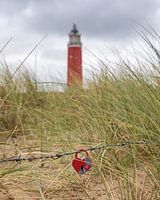 I heart Texel!